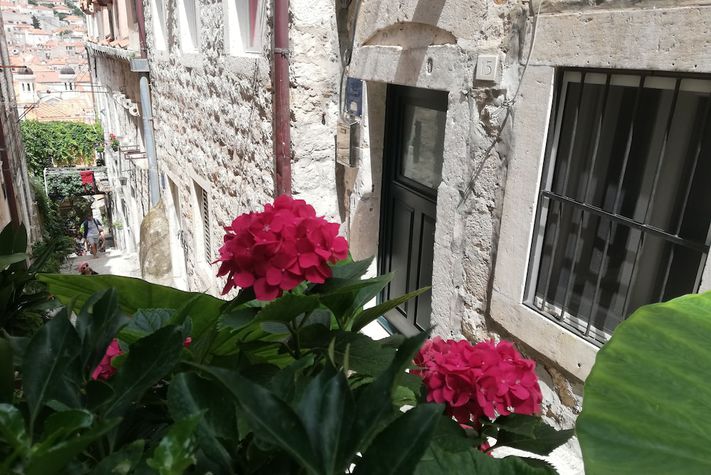 voir les prix pour Apartment Dubrovnik-Center
