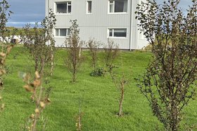 Image de Selið Farm Stay Guesthouse