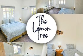 Image de The Lemon Tree Hostel