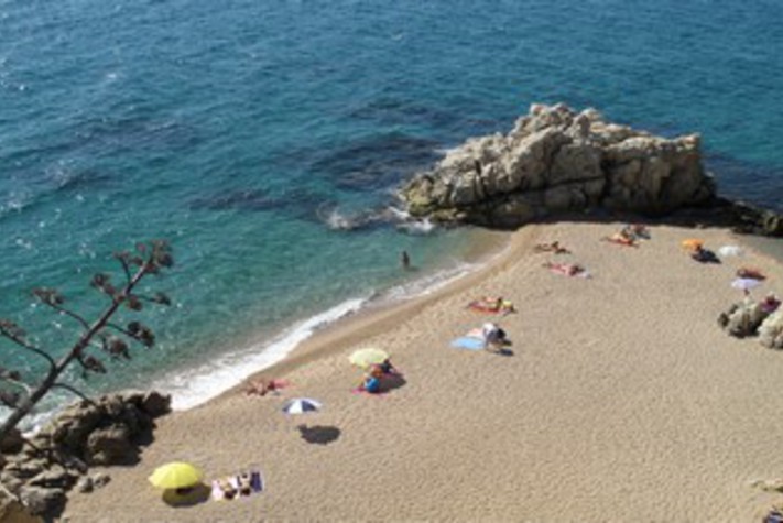 voir les prix pour Camping Roca Grossa