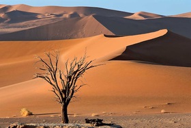 Circuit Visage de Namibie