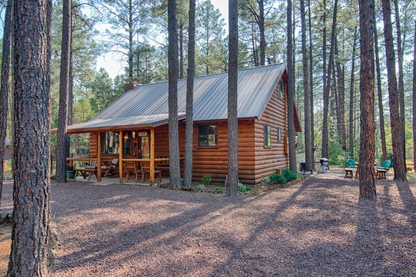 Family Cabin in the Pines. All Wood! Charming memory-maker. You'll fall in love.