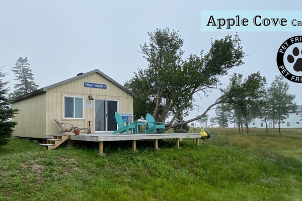 Apple-Cove Cabin cozy cabin is perched under a giant old apple tree overlooking the Cobscook bay at Rossport by the Sea