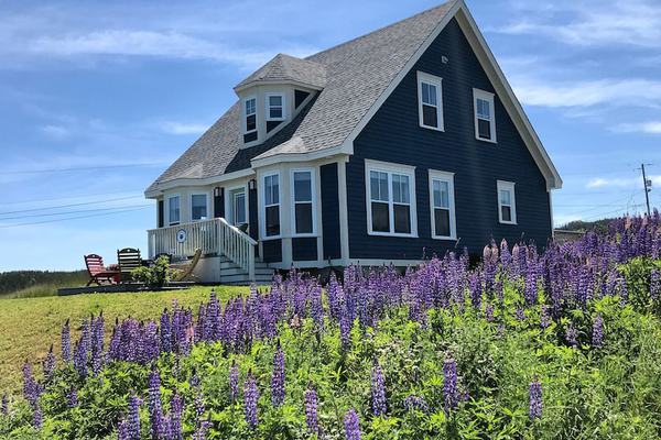 Stunning Ocean View Vacation Home, Trinity NL