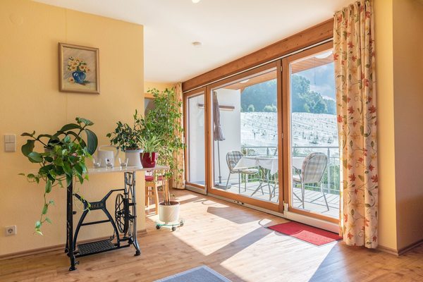 Cosy Vacation Apartment in House Irene with Balcony, Mountain View & Wi-Fi; Parking Garage Available