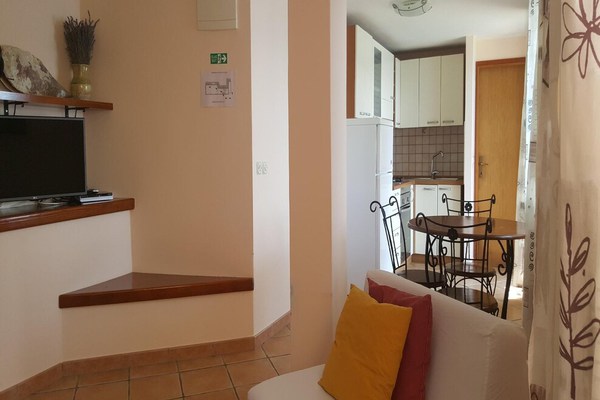 Holiday apartment Prigradica for 1 - 3 persons with 1 bedroom