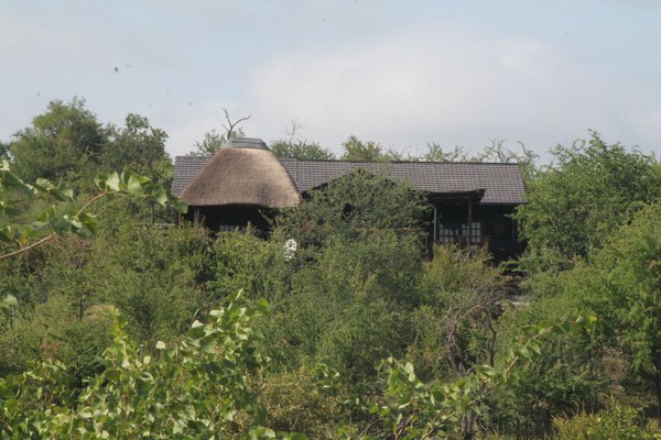 Leopard Rock Bush Lodge en Afrique. Réservez dès aujourd'hui pour votre expérience Big 5.