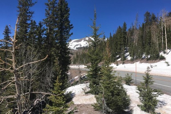 Nº10 Wooded Ridge - Ski-In/Ski-out Winter, Paiute ATV Trails in Summer, Hiking, Biking , Fishing an