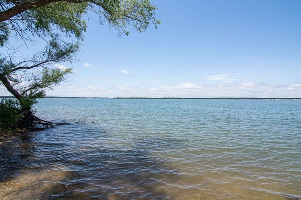 Escape to the Lake! Waterfront w/Semiprivate Cove Access, Pet Friendly, Fire Pit, Quiet & Secluded