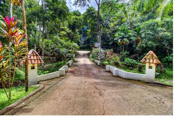 Villa Congo, RainForest Sanctuary in Manuel Antonio, 2 Bedroom with Huge pool