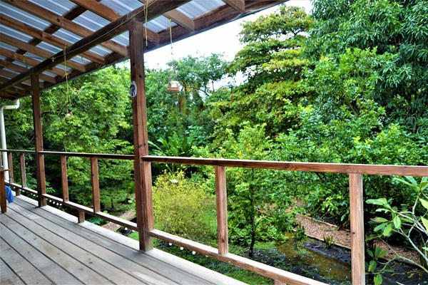 Sanpopo Tree Top Cottage - A Gold Standard Tourism Approved Tree Top Home