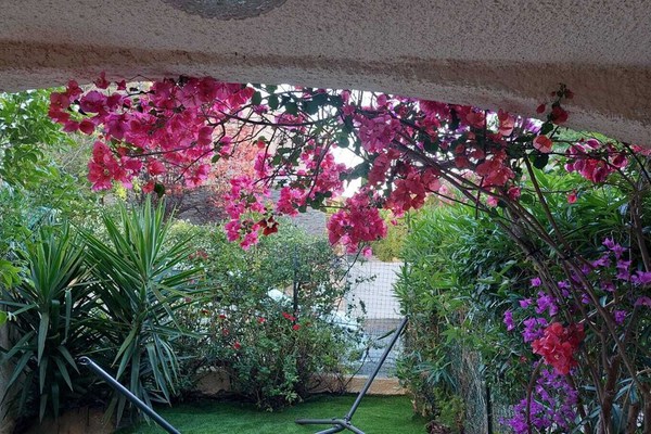 2 bedrooms appartement at Sanary-sur-Mer, 300 m away from the beach with enclosed garden