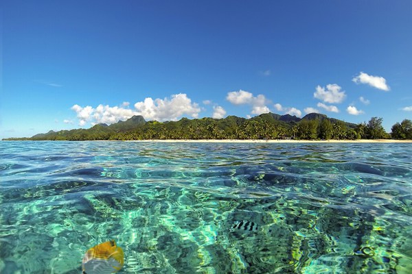 Sea Winds Villa de luxe côte de corail Fidji