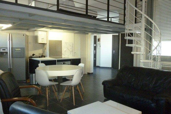 Appartement style loft bon standing (balnéo, clim, accès  internet)