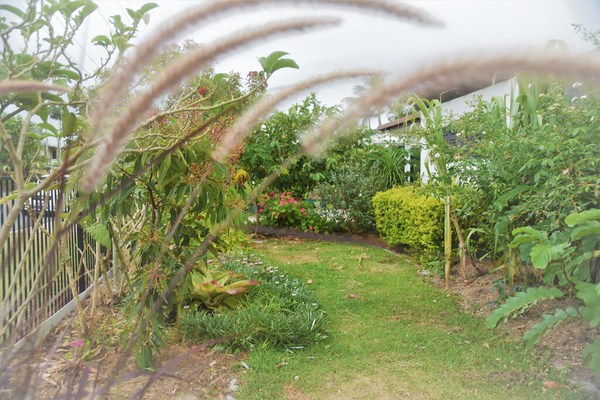 Une hacienda paisible avec des jardins luxuriants située dans un endroit calme - Animaux acceptés