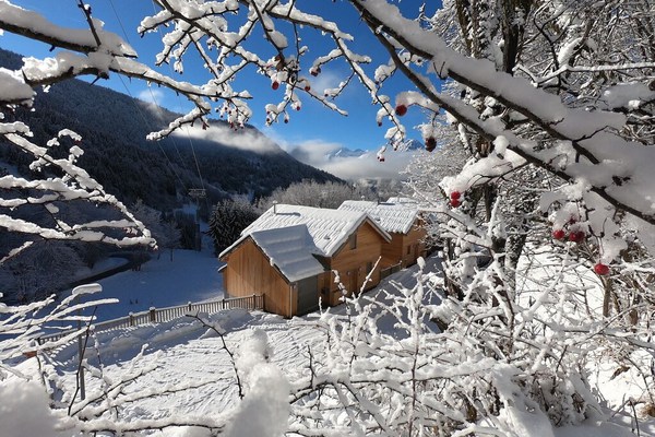 Private Ski & Summer Chalet in Vaujany with Stunning Views, family /do friendly 