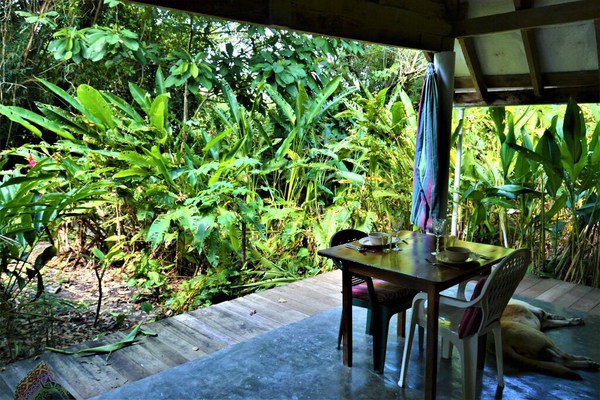 Hummingbird Rest Gold Standard Approved equipped cabana in subtropical garden
