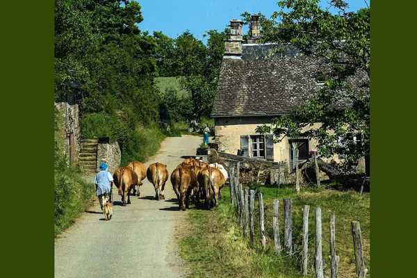 Gîte de France La maison du pêcheur 3 épis - Gîte de France 4 personnes