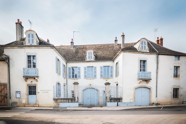 Venez passer un séjour oenotouristique en Bourgogne !