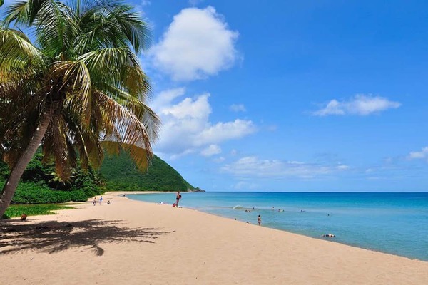 Beau studio avec terrasse à 350 m de la plage de Grande Anse et des commerces