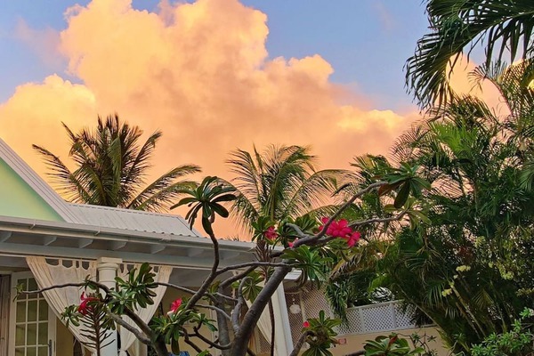 Belle villa, piscine privée, terrasses ensoleillées, jardin, Wi-Fi haute vitesse, à quelques pas de la plage